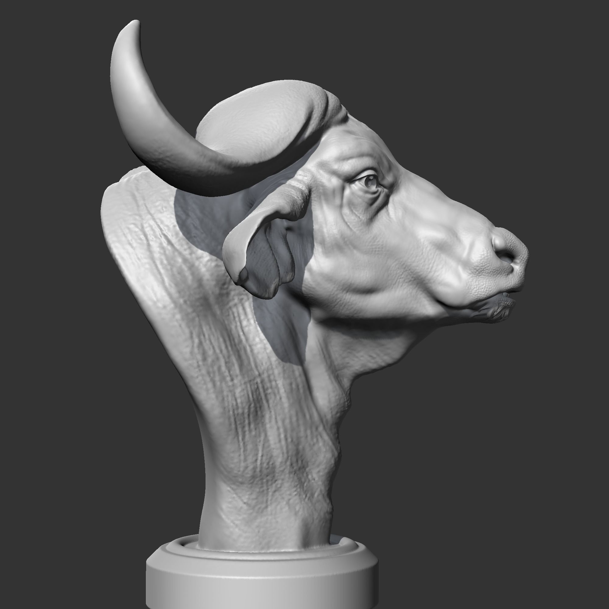 Buffalo Head AM03 3D print model 3D print model_7
