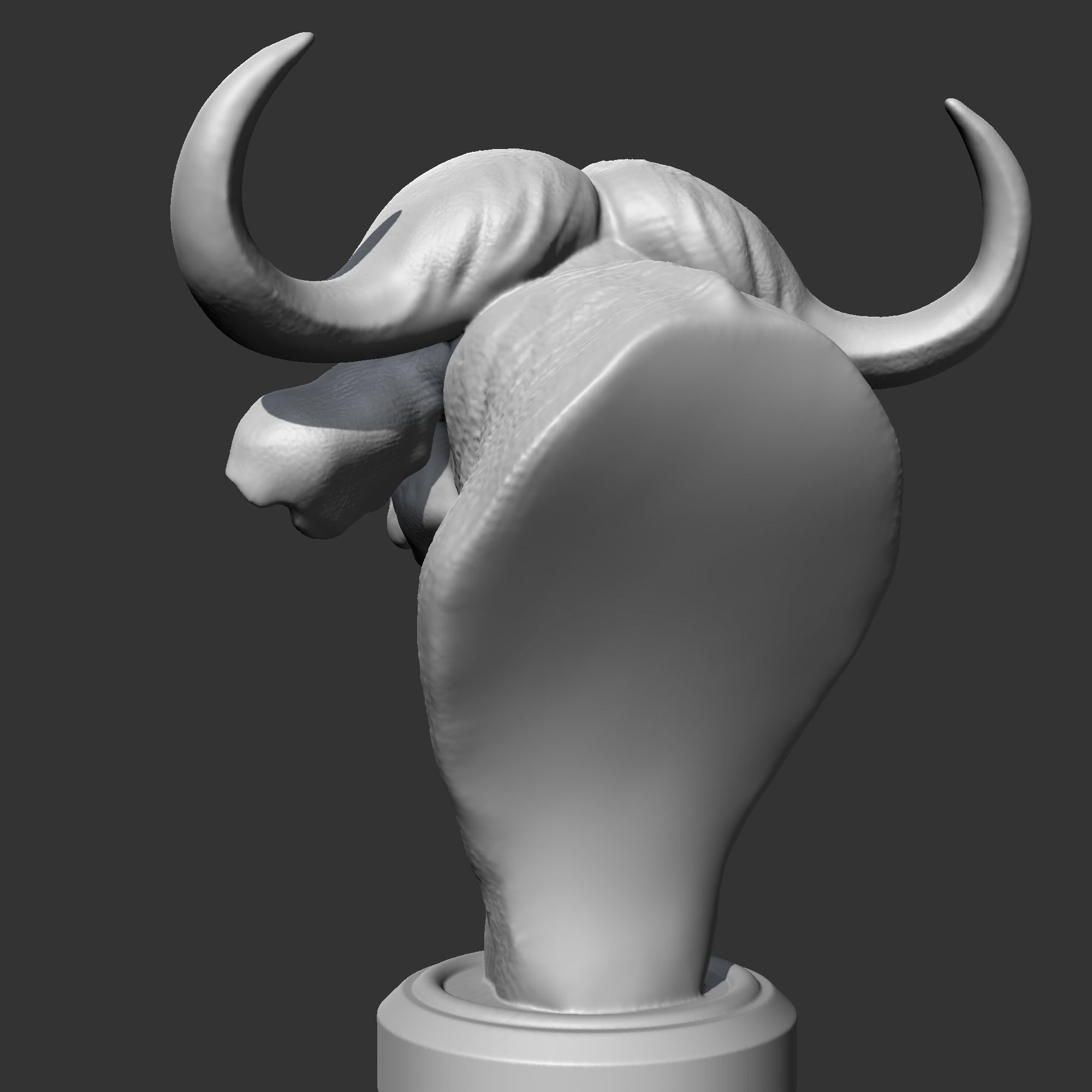 Buffalo Head AM03 3D print model 3D print model_6