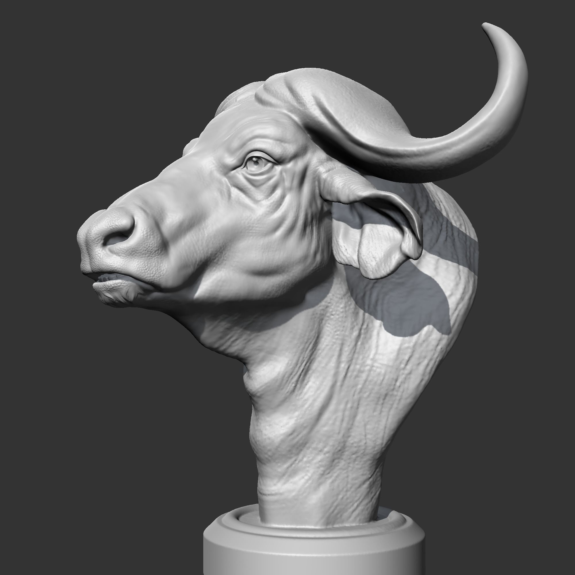 Buffalo Head AM03 3D print model 3D print model_4