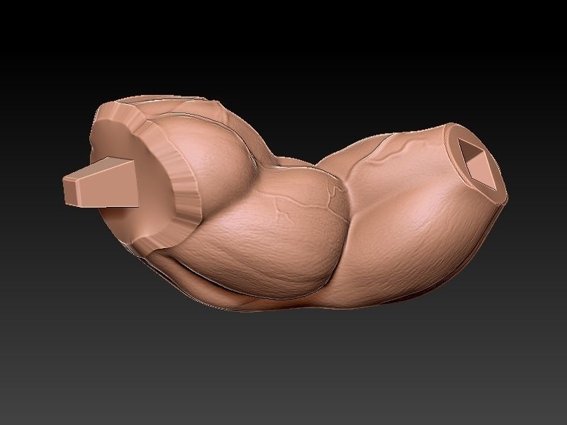 Street Fighter Zangief 3D print model_10