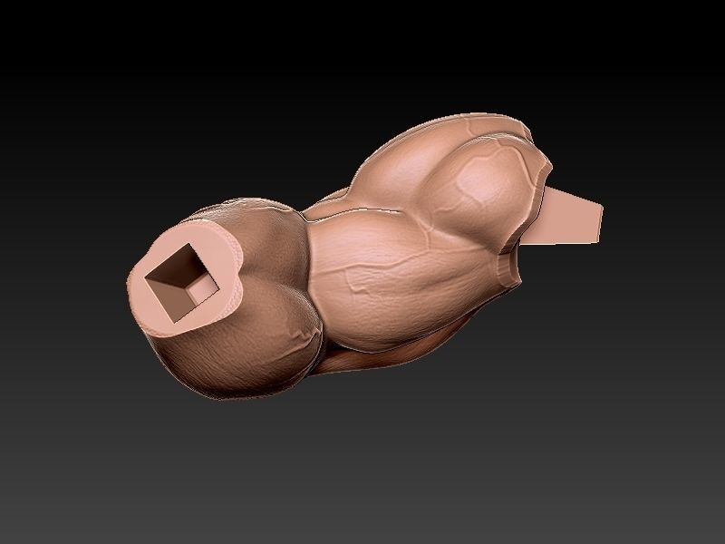 Street Fighter Zangief 3D print model_14