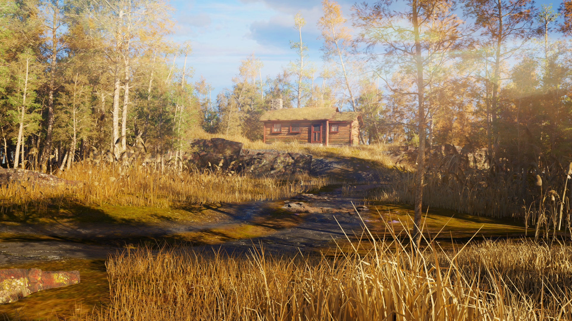 cabin a the woods blender scene Low-poly 3D model_6