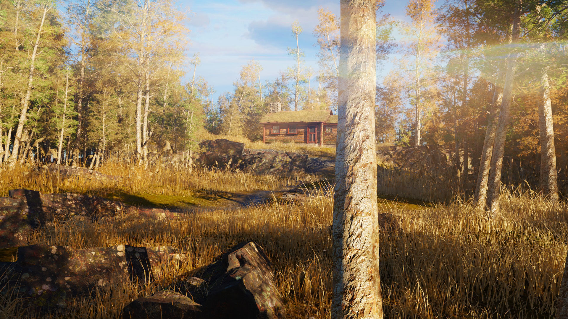 cabin a the woods blender scene Low-poly 3D model_5