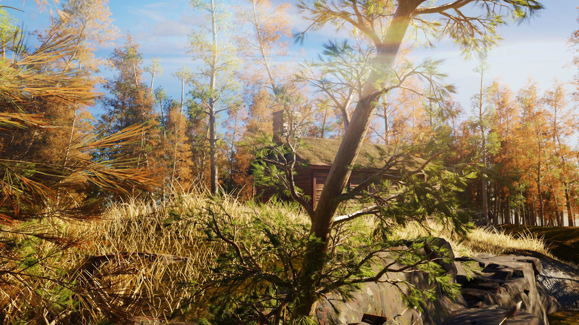 cabin a the woods blender scene Low-poly 3D model_1