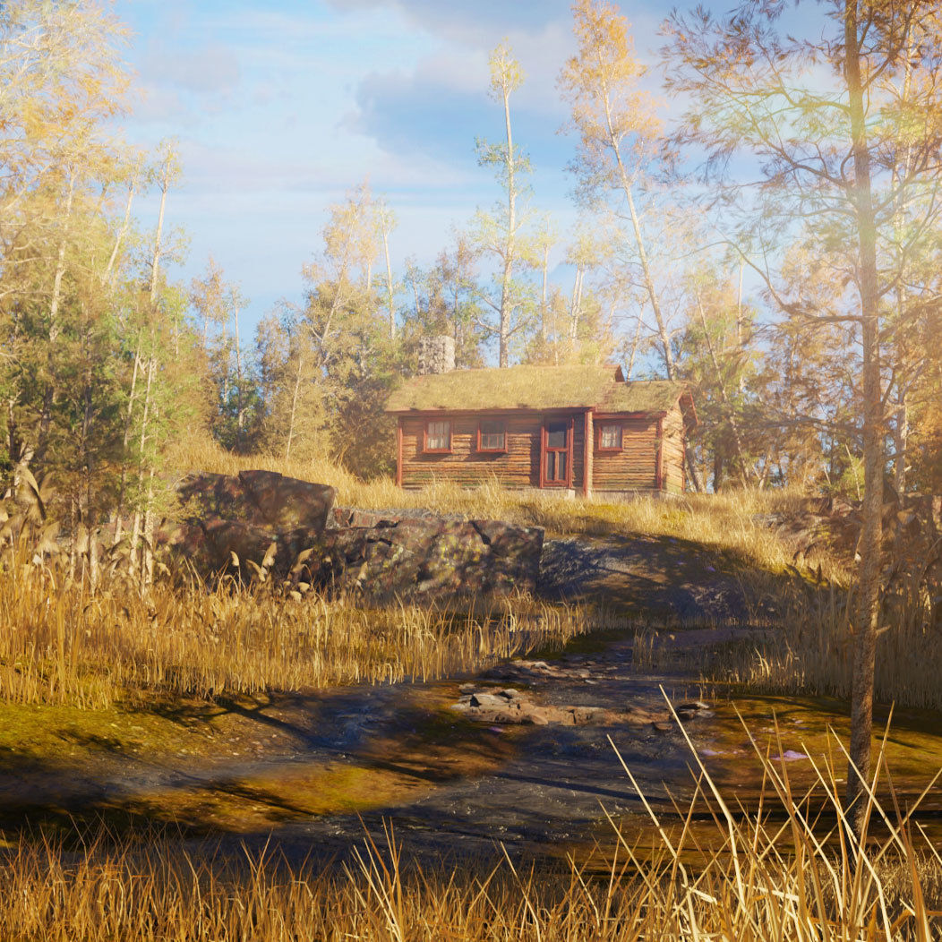cabin a the woods blender scene Low-poly 3D model_9