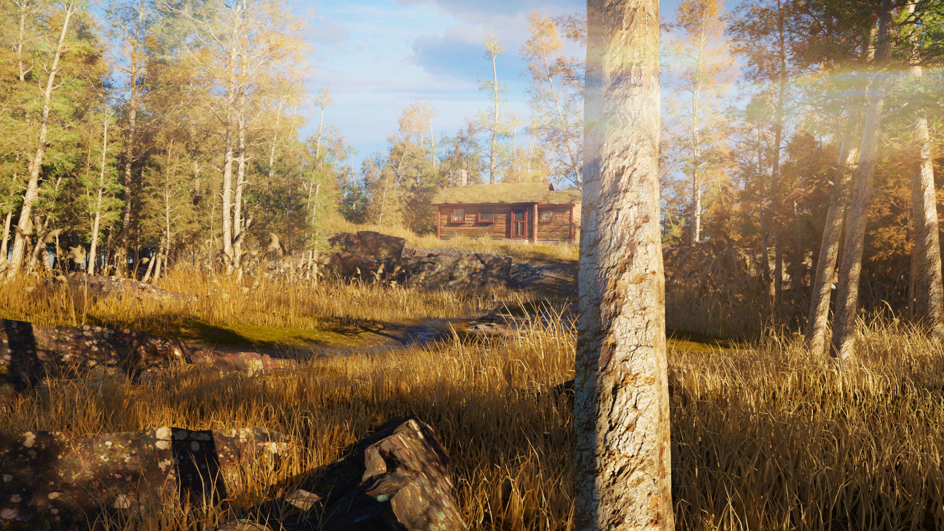 cabin a the woods blender scene Low-poly 3D model_4