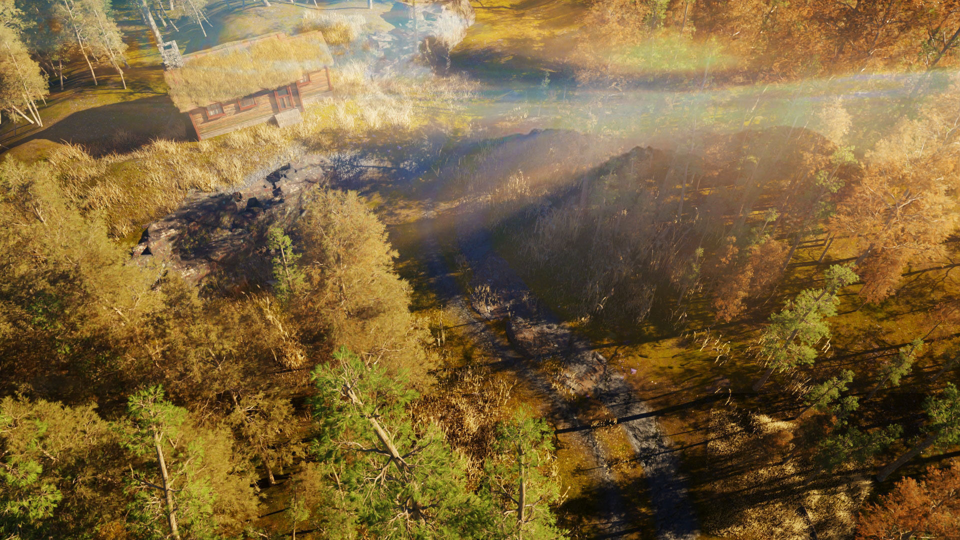 cabin a the woods blender scene Low-poly 3D model_7