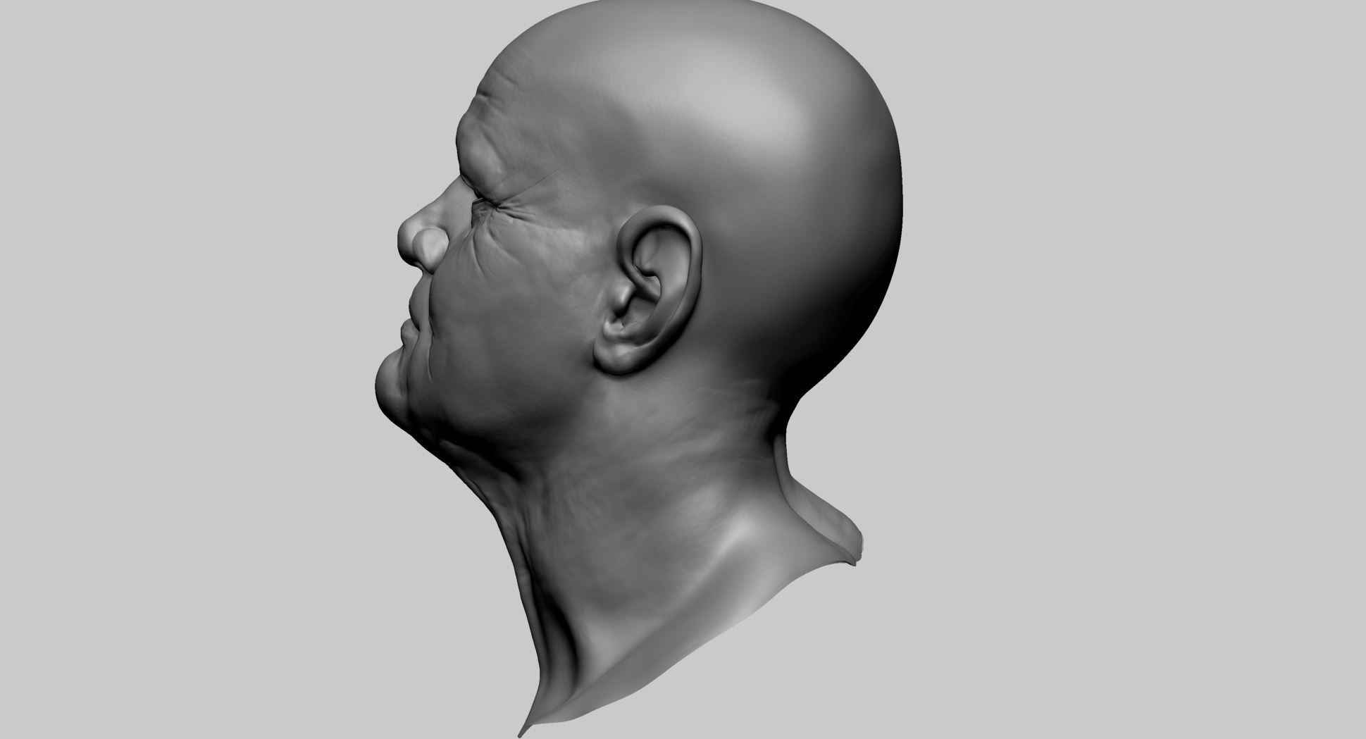 Male Head H 3D model_5