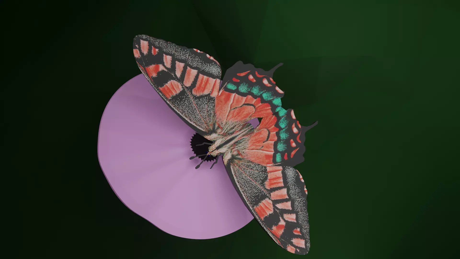 Butterfly animation Free 3D model_0