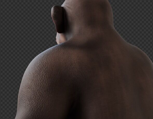  Chimpanzee 3D model_23