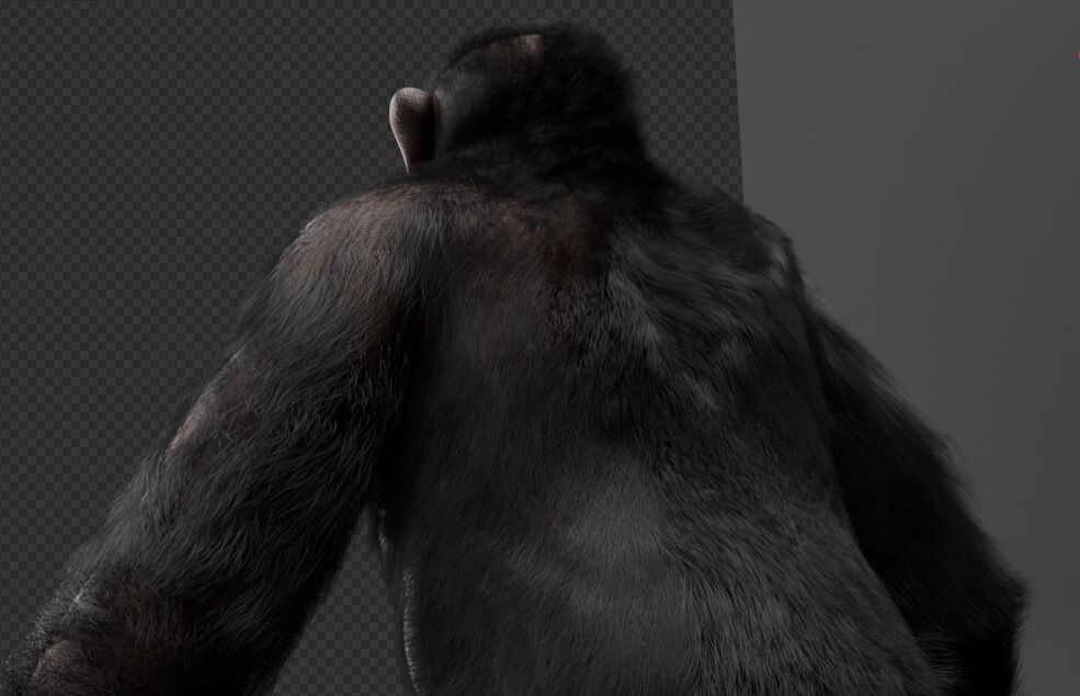  Chimpanzee 3D model_12