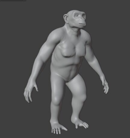 Chimpanzee 3D model_19