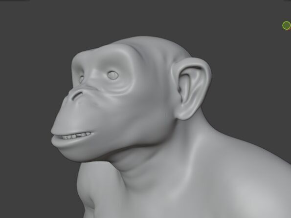  Chimpanzee 3D model_20