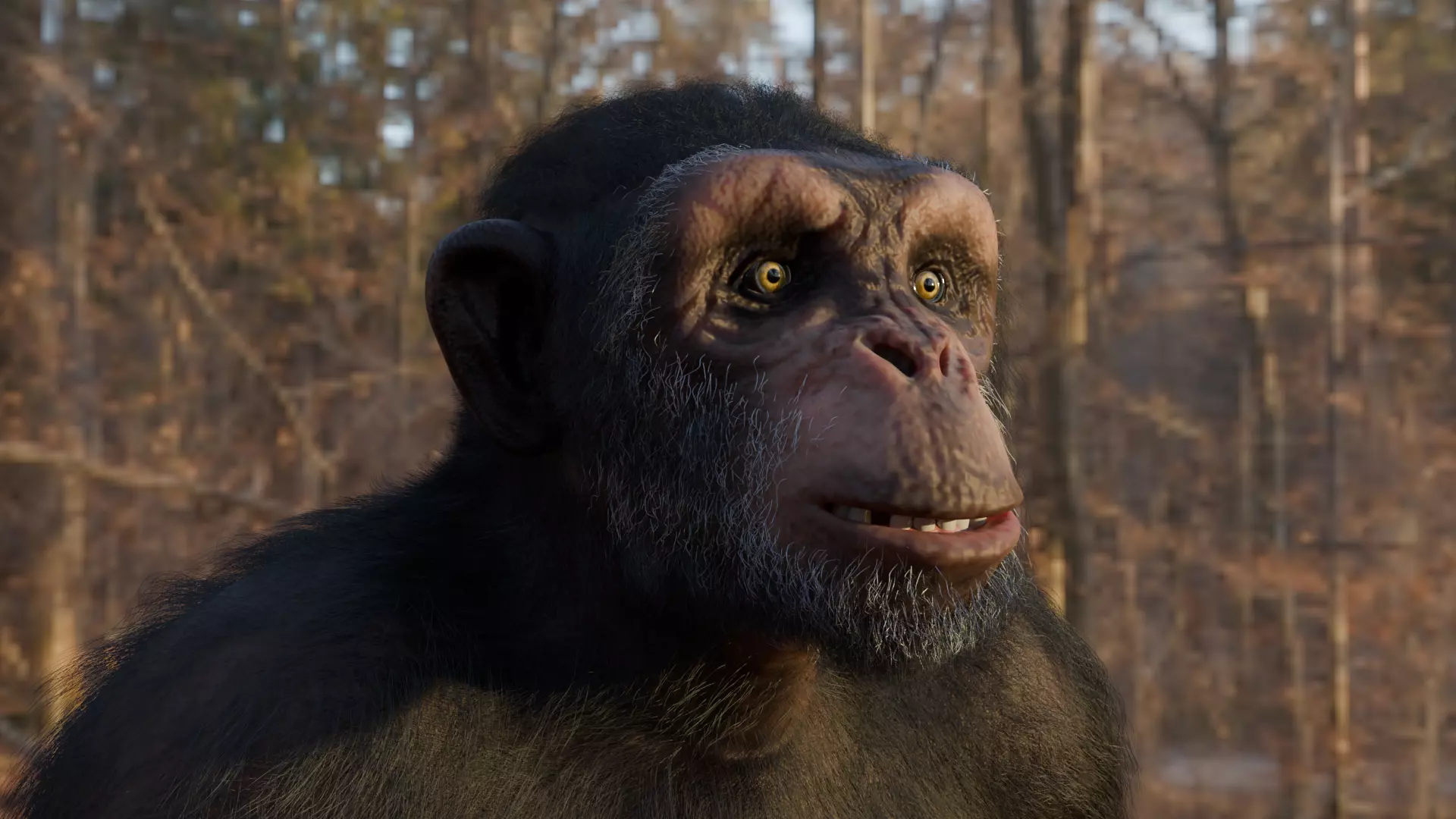  Chimpanzee 3D model_0