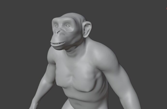  Chimpanzee 3D model_24