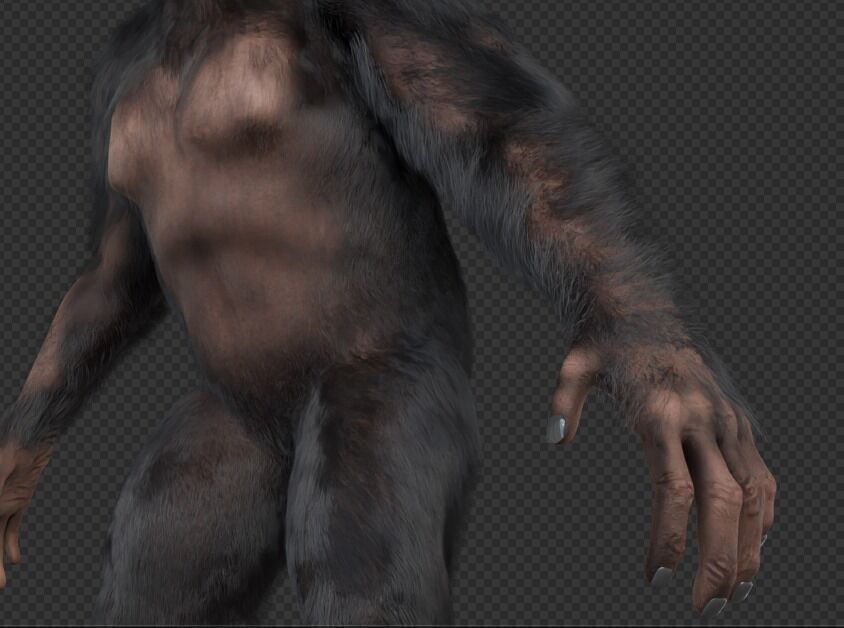  Chimpanzee 3D model_18