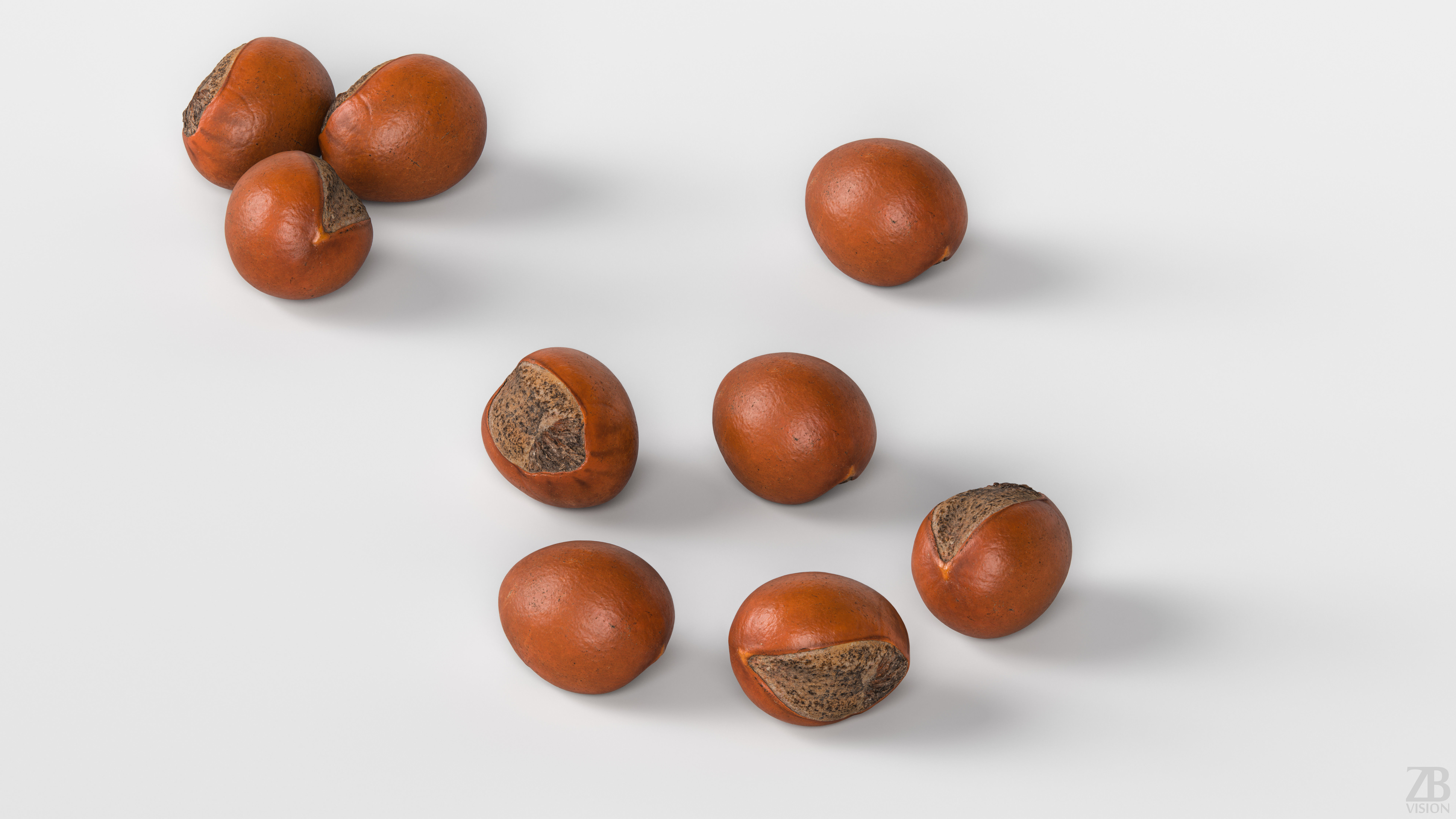 Shea Nut 3D model_2