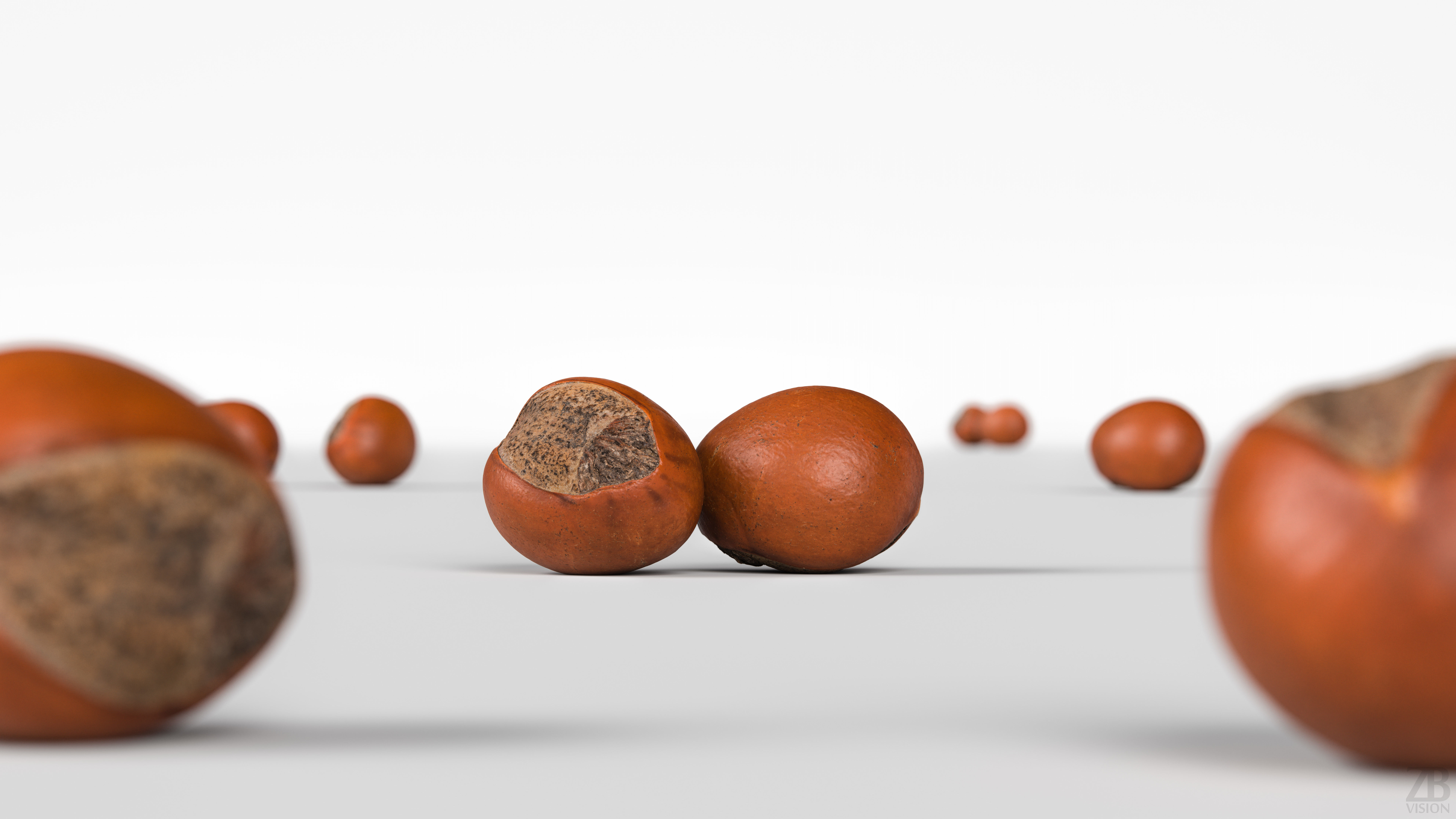 Shea Nut 3D model_1