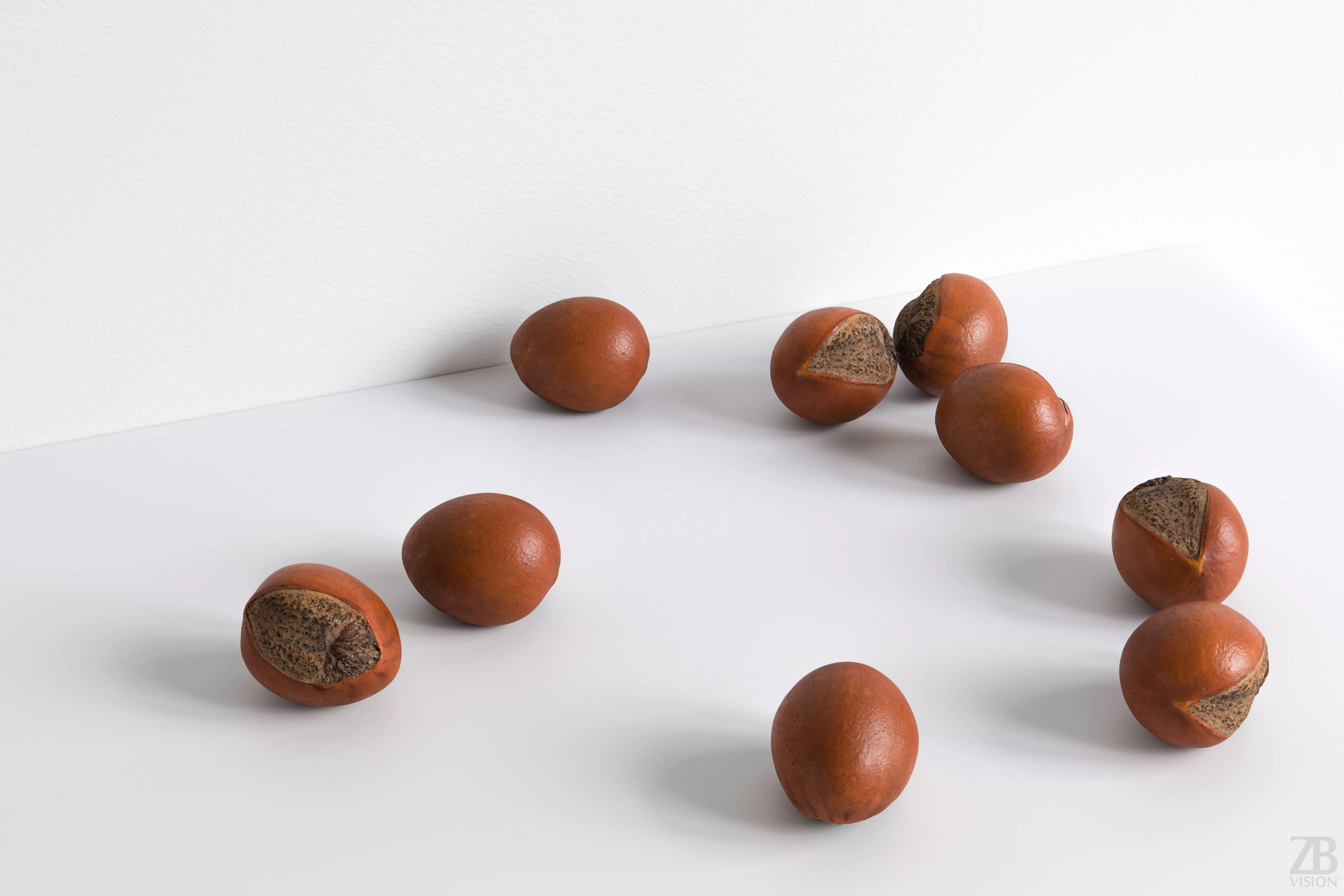 Shea Nut 3D model_0