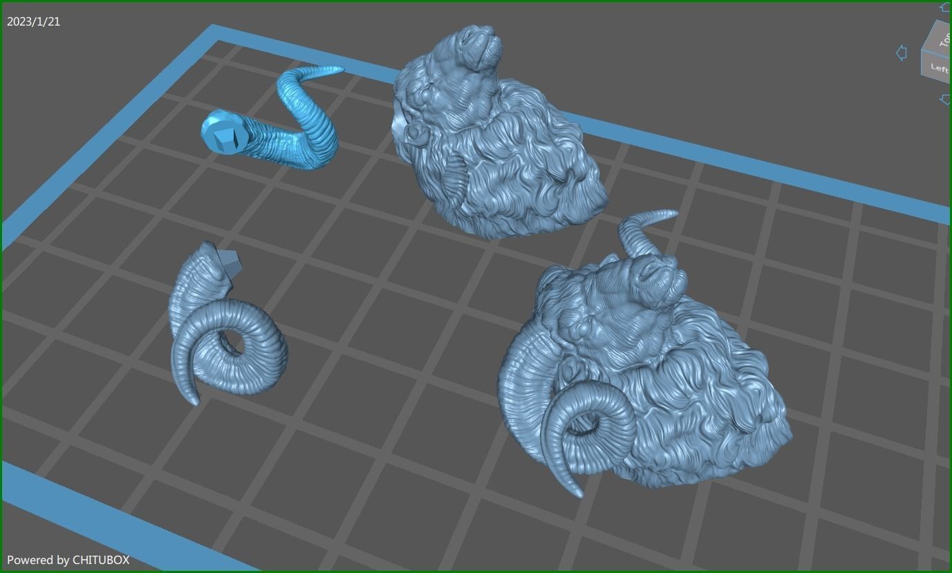 Ram sheep head 3D print model_18