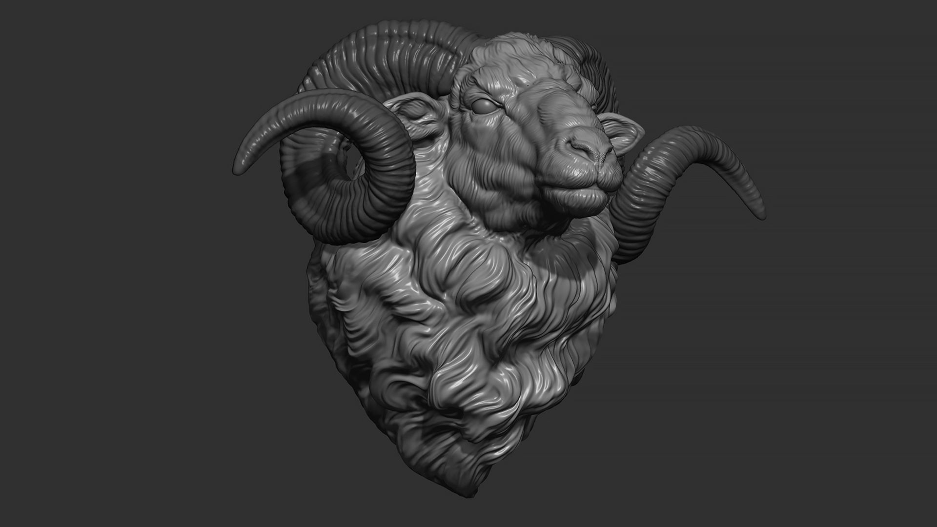 Ram sheep head 3D print model_2