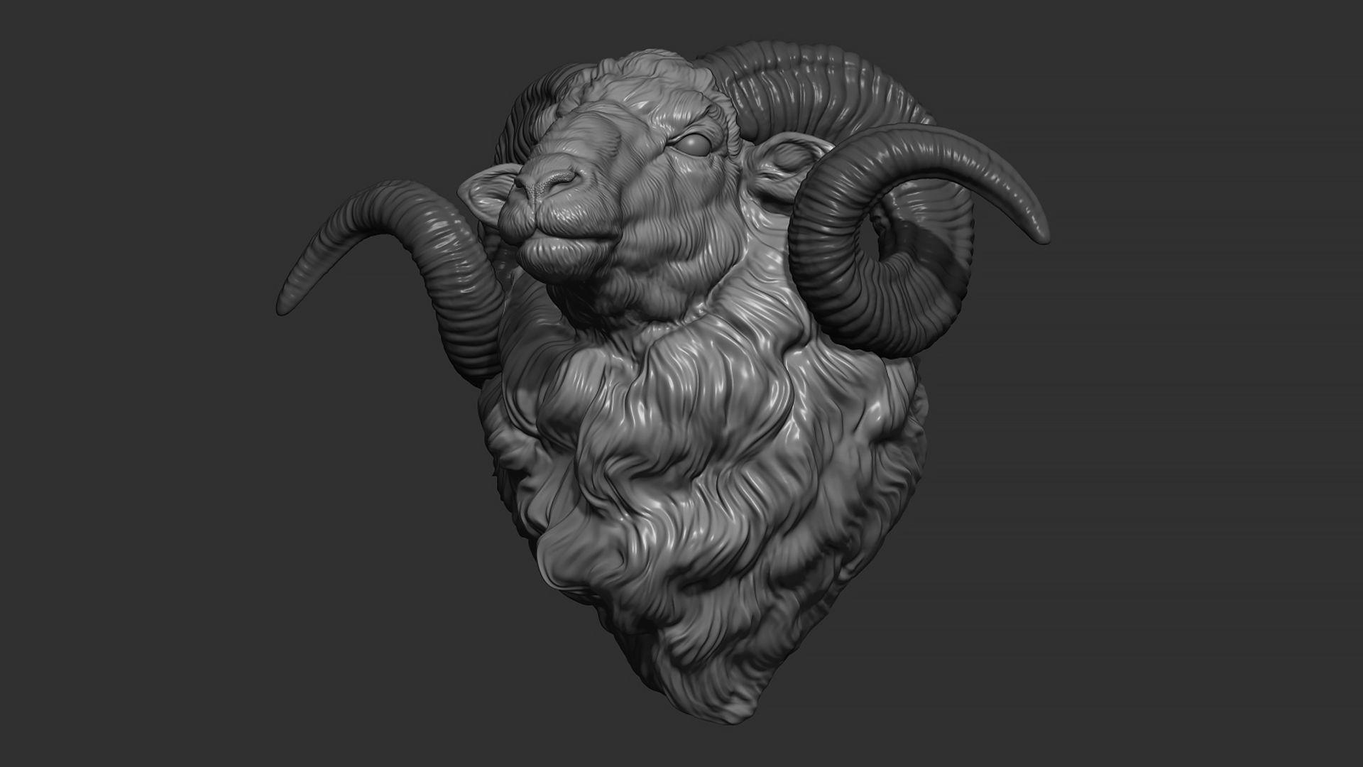 Ram sheep head 3D print model_4