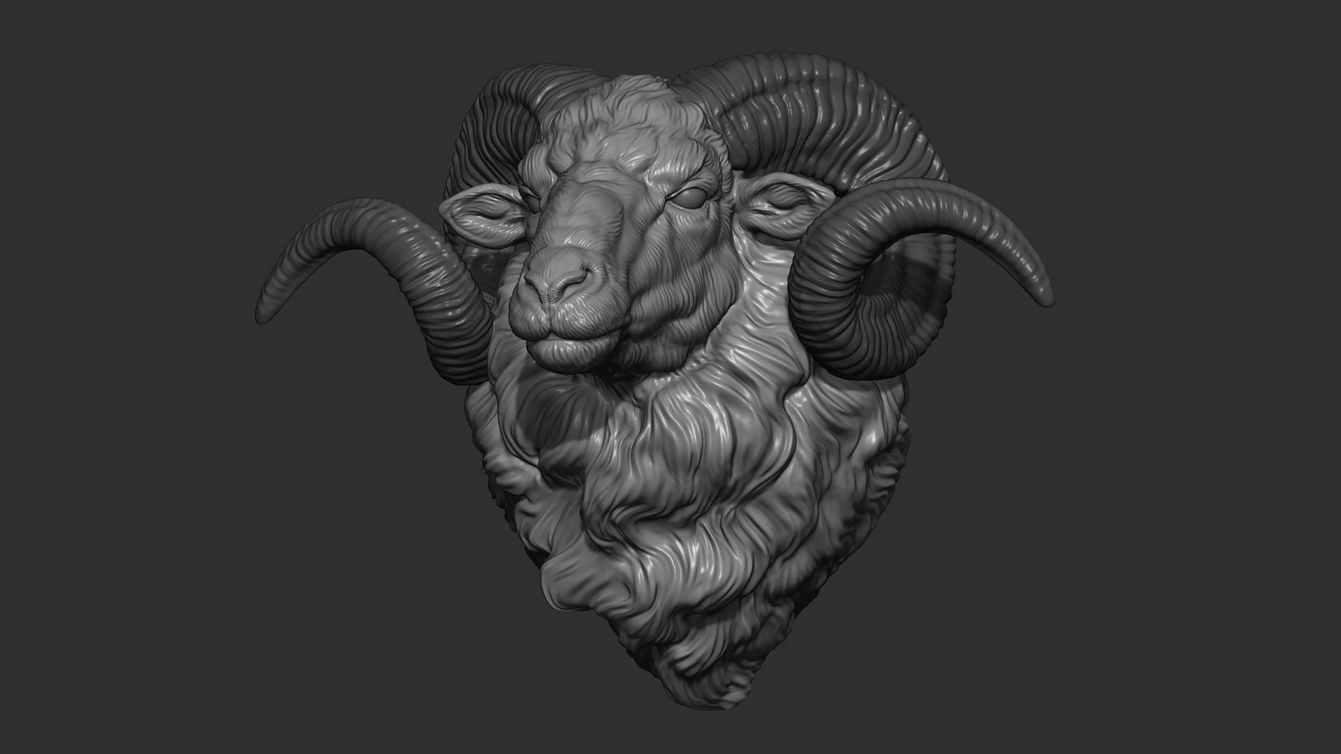 Ram sheep head 3D print model_6