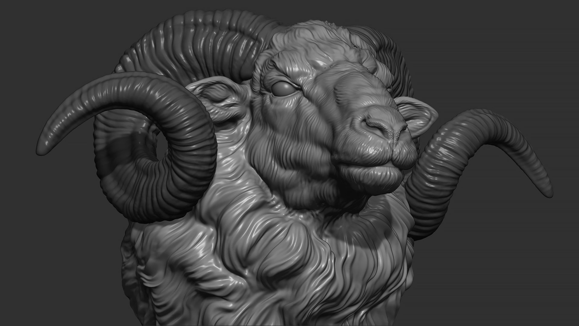 Ram sheep head 3D print model_3