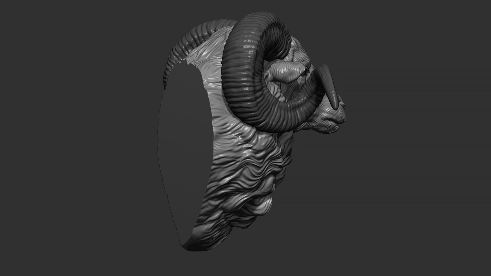 Ram sheep head 3D print model_10