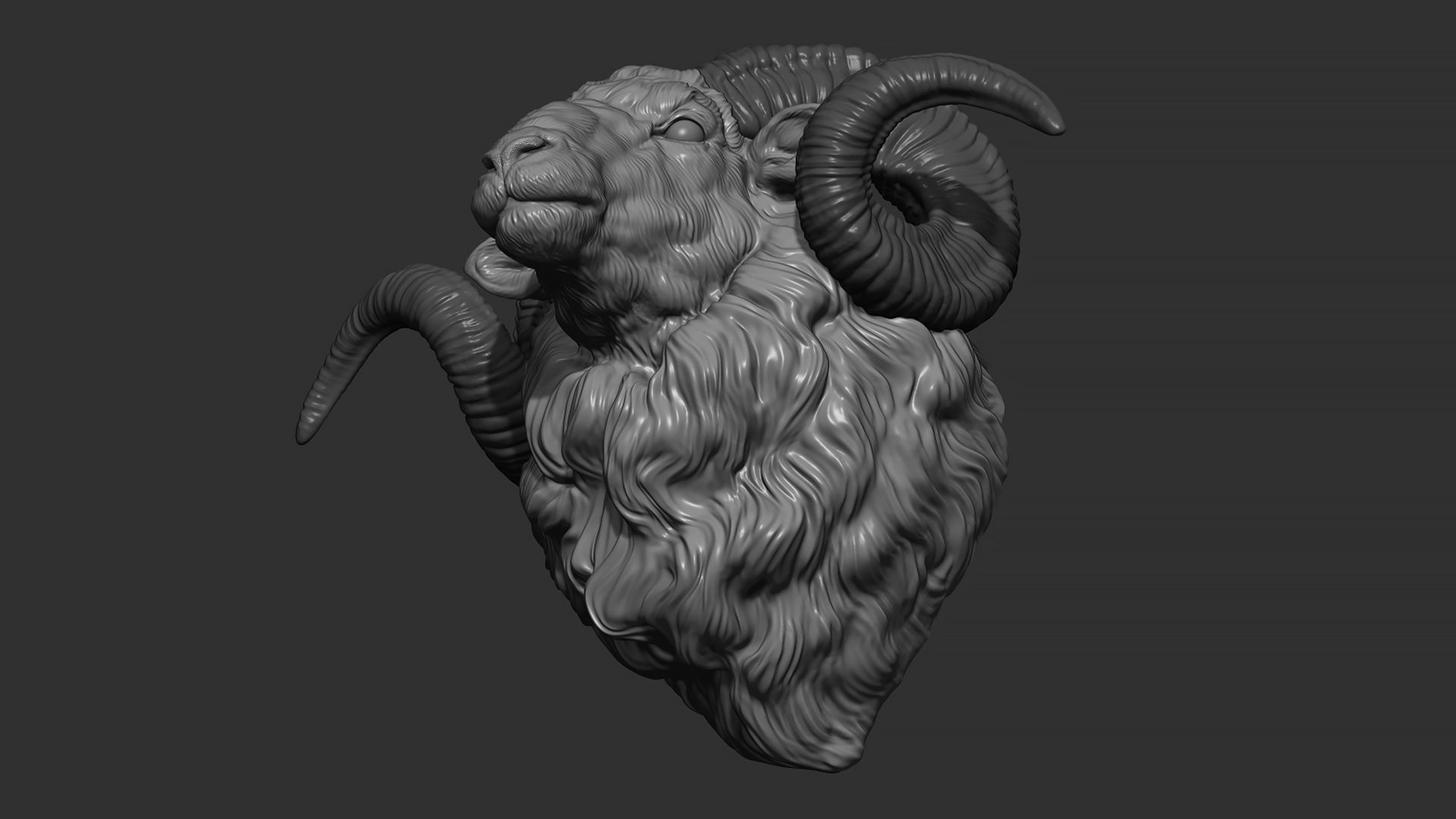 Ram sheep head 3D print model_7