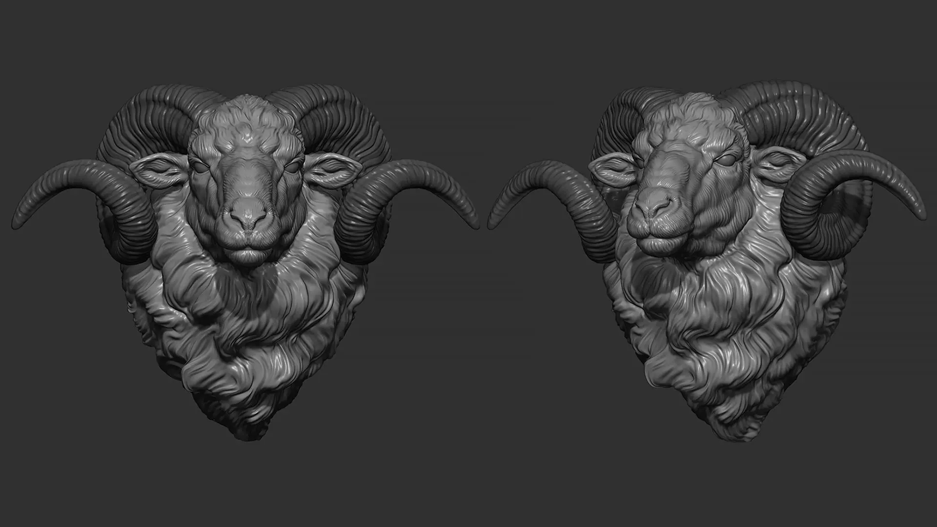 Ram sheep head 3D print model_0