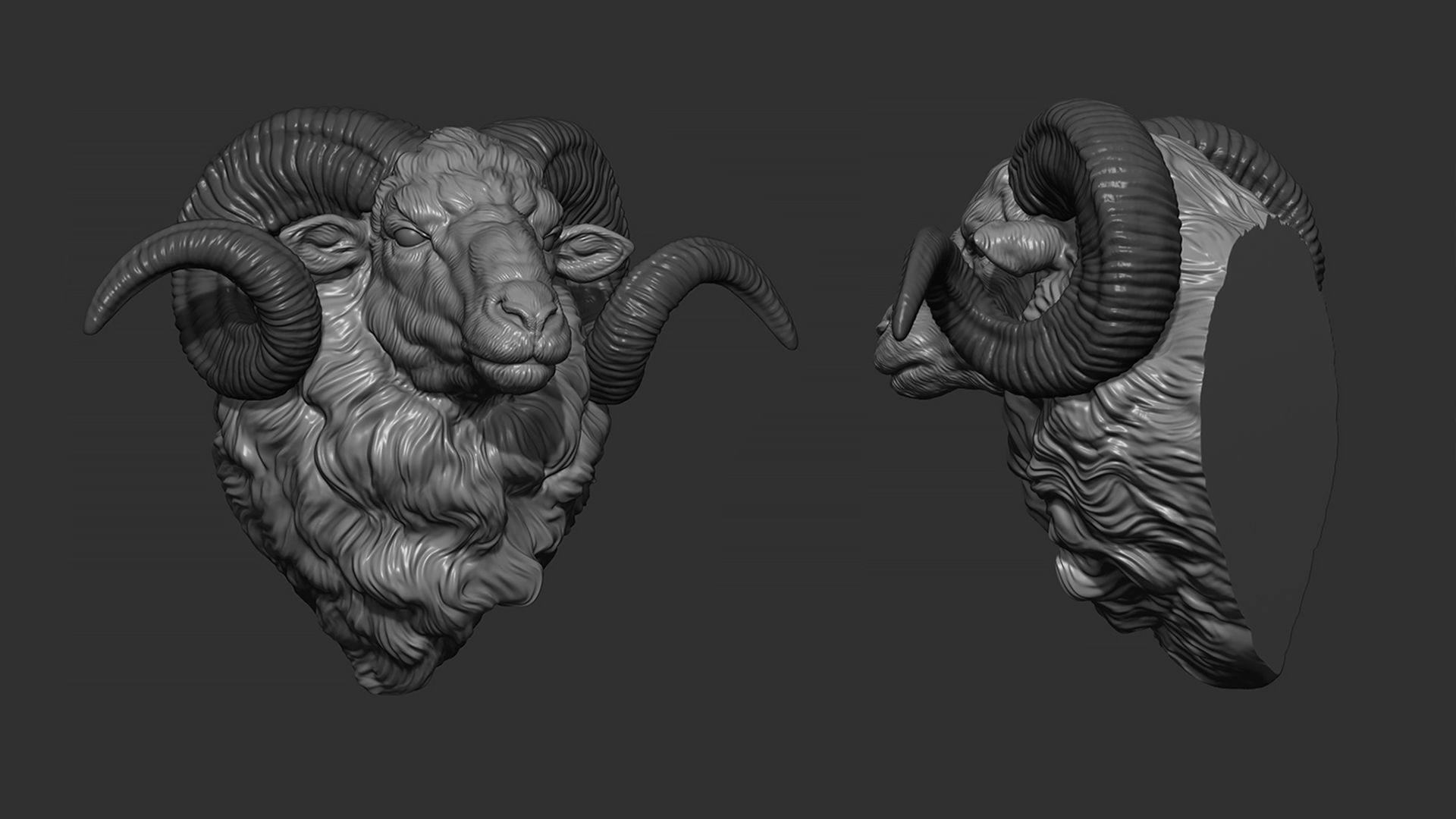 Ram sheep head 3D print model_1