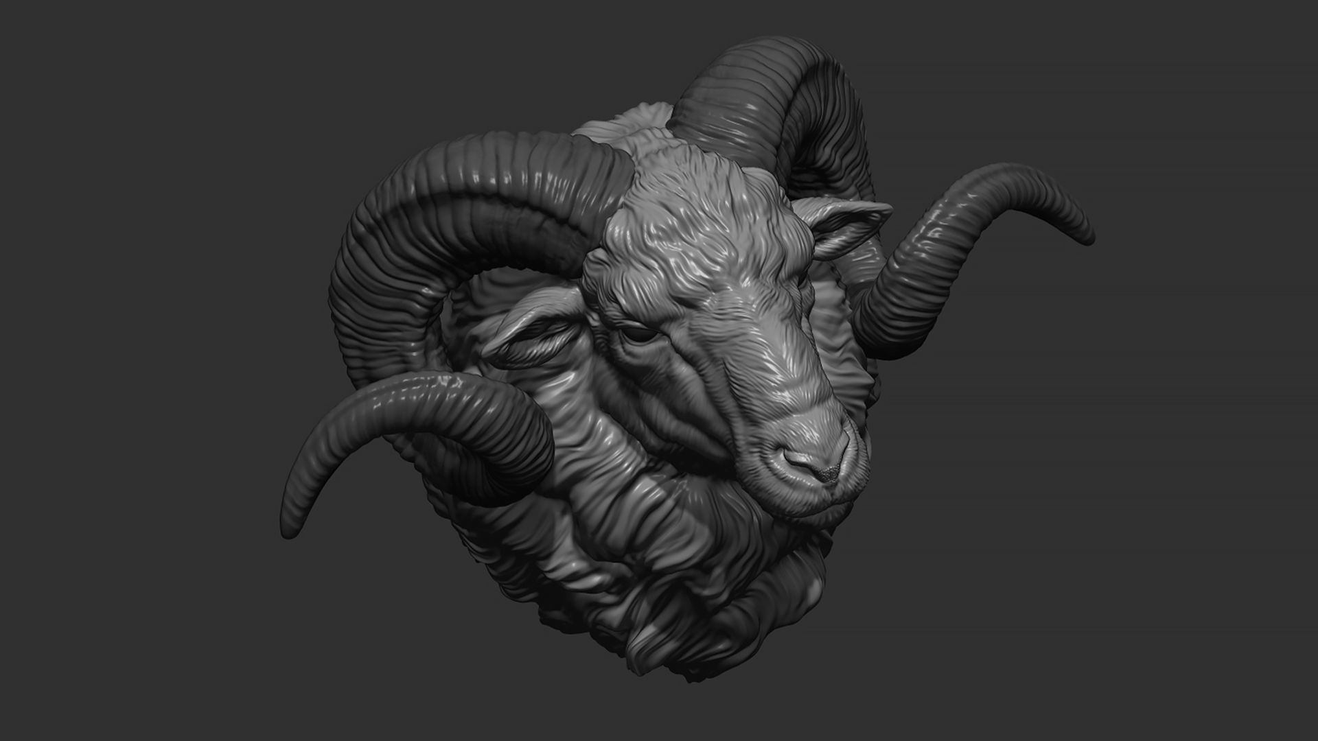 Ram sheep head 3D print model_11
