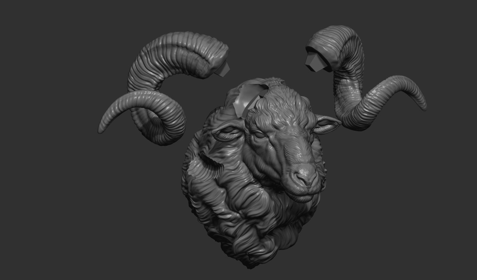 Ram sheep head 3D print model_16