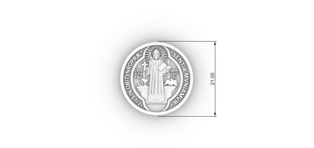 San benito  3D print model_3