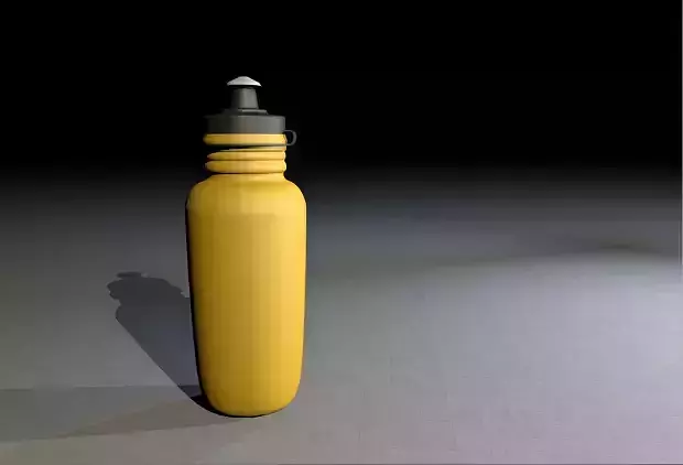 Sports Bottle