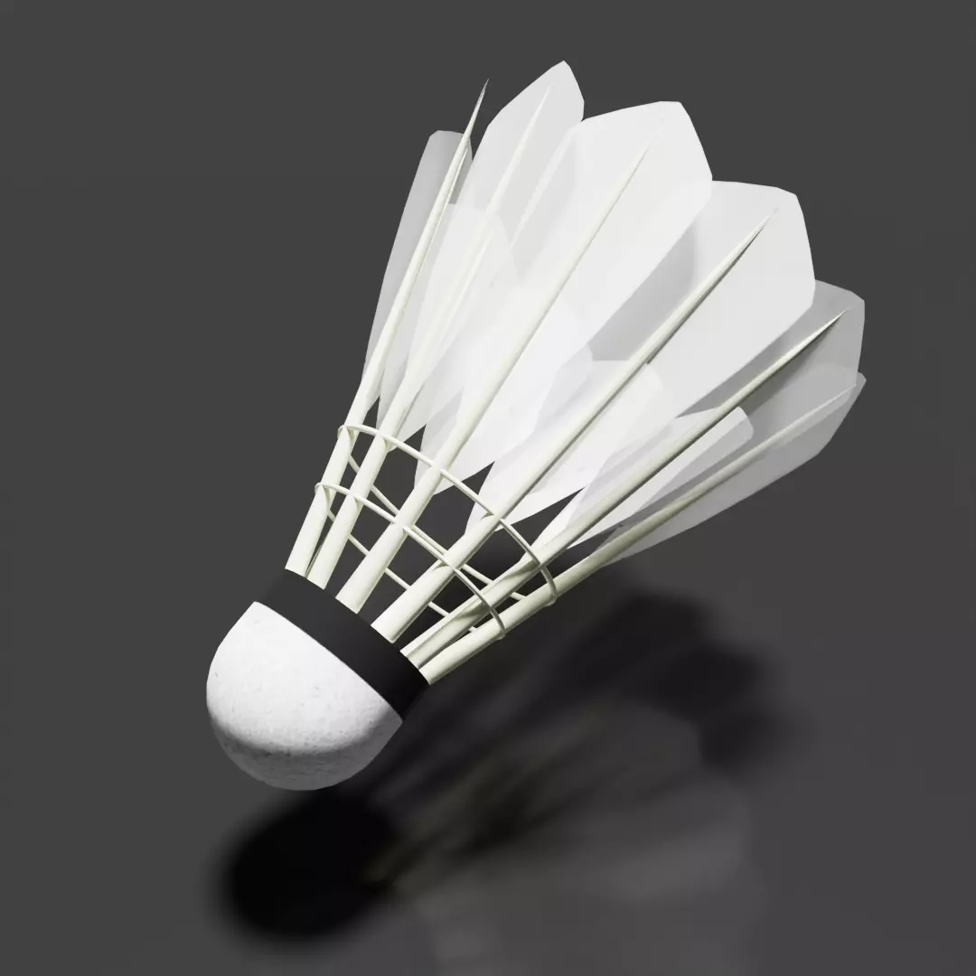 Badminton Shuttlecock 3dModel 3D model