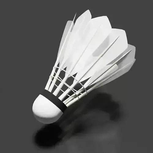 Badminton Shuttlecock 3dModel