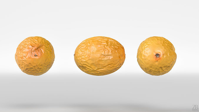 Passion Fruit 3D model 5