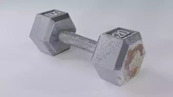 Worn 20lb Dumbbell