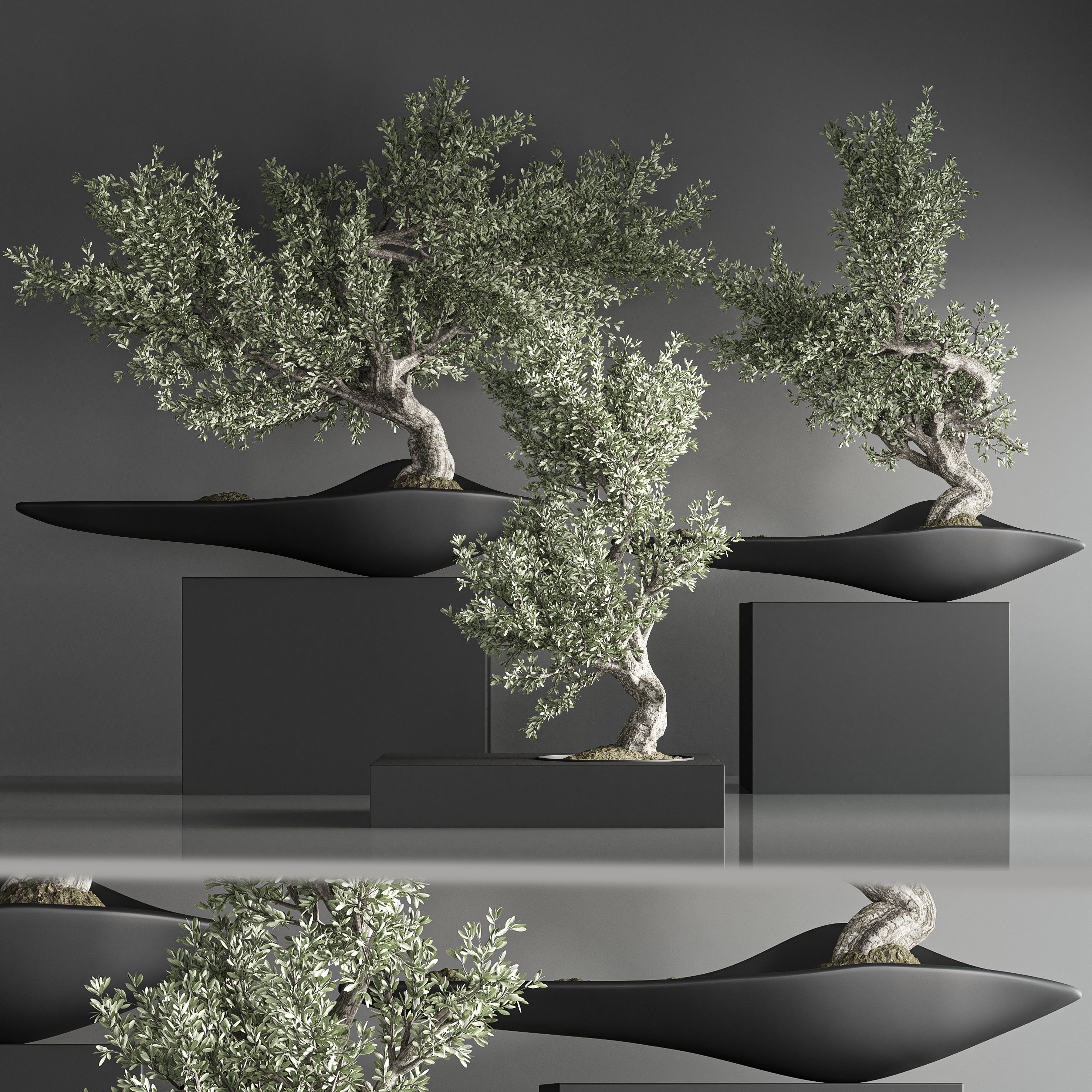indoor plant bonsai set 35 3D model_2