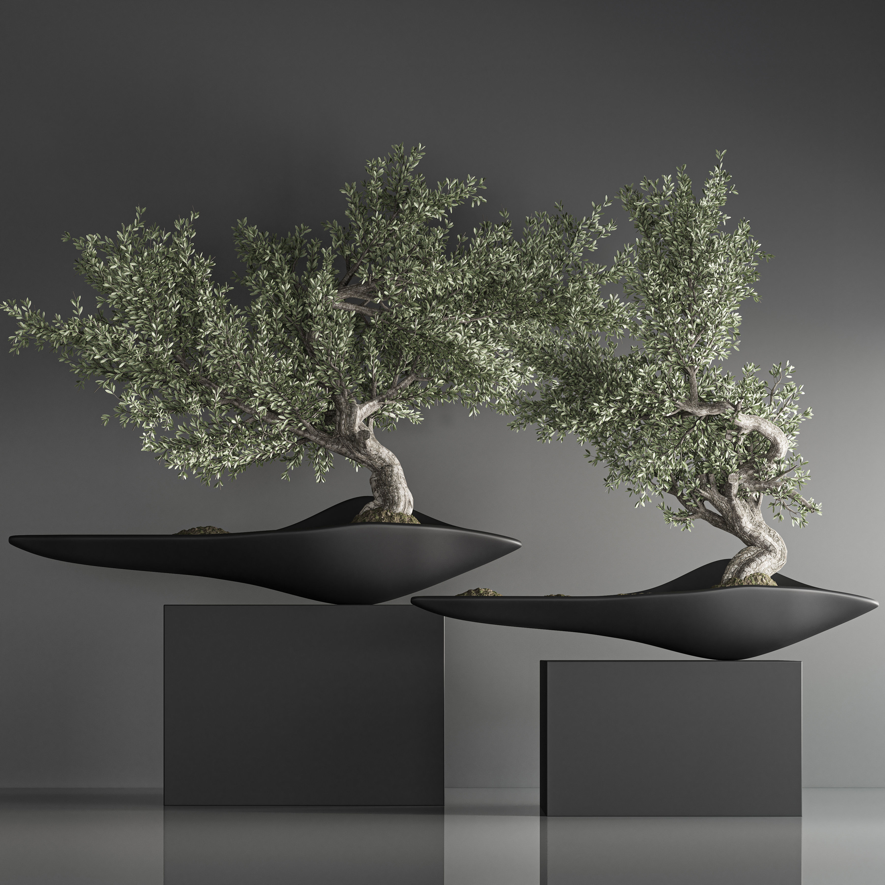 indoor plant bonsai set 35 3D model_3