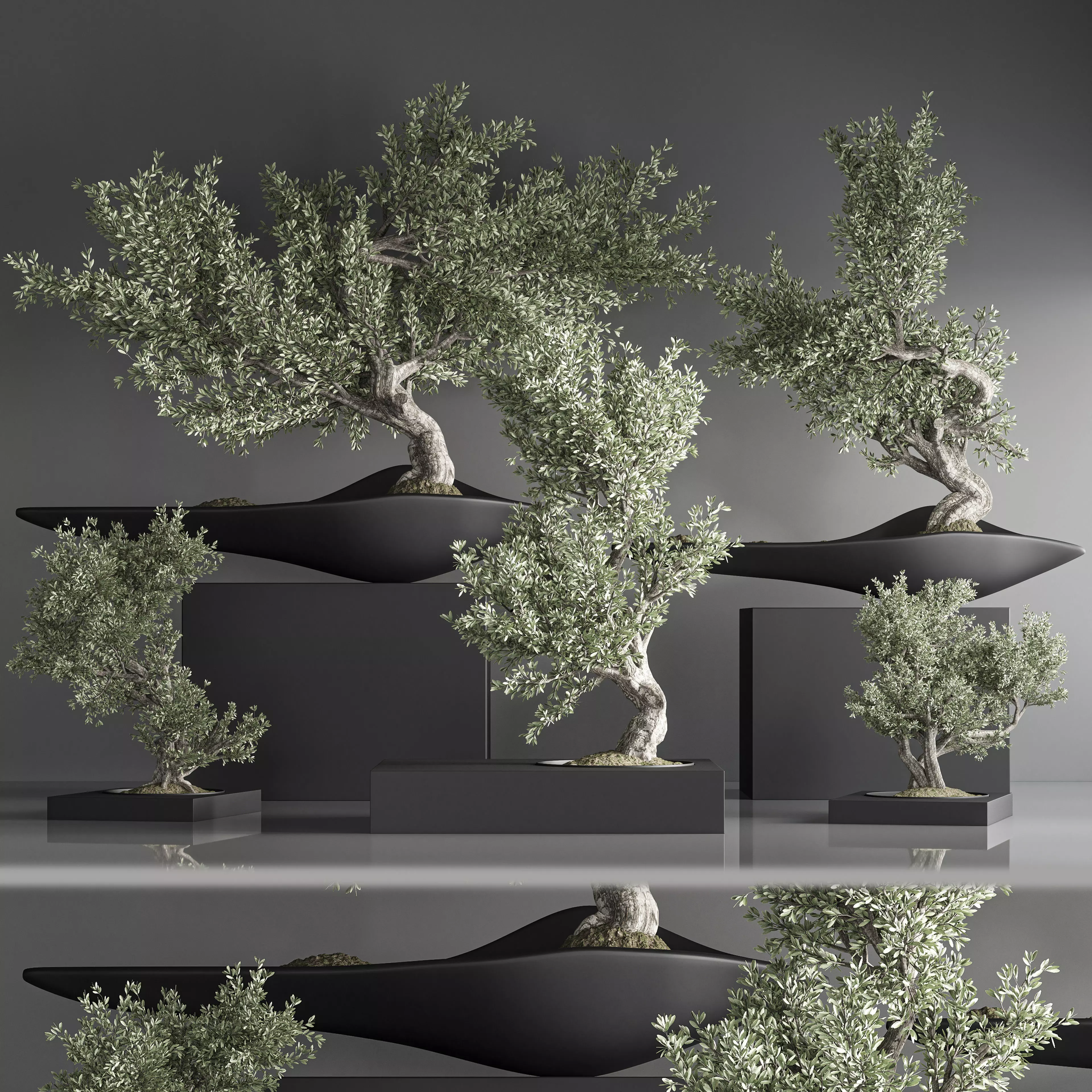 indoor plant bonsai set 35 3D model_0