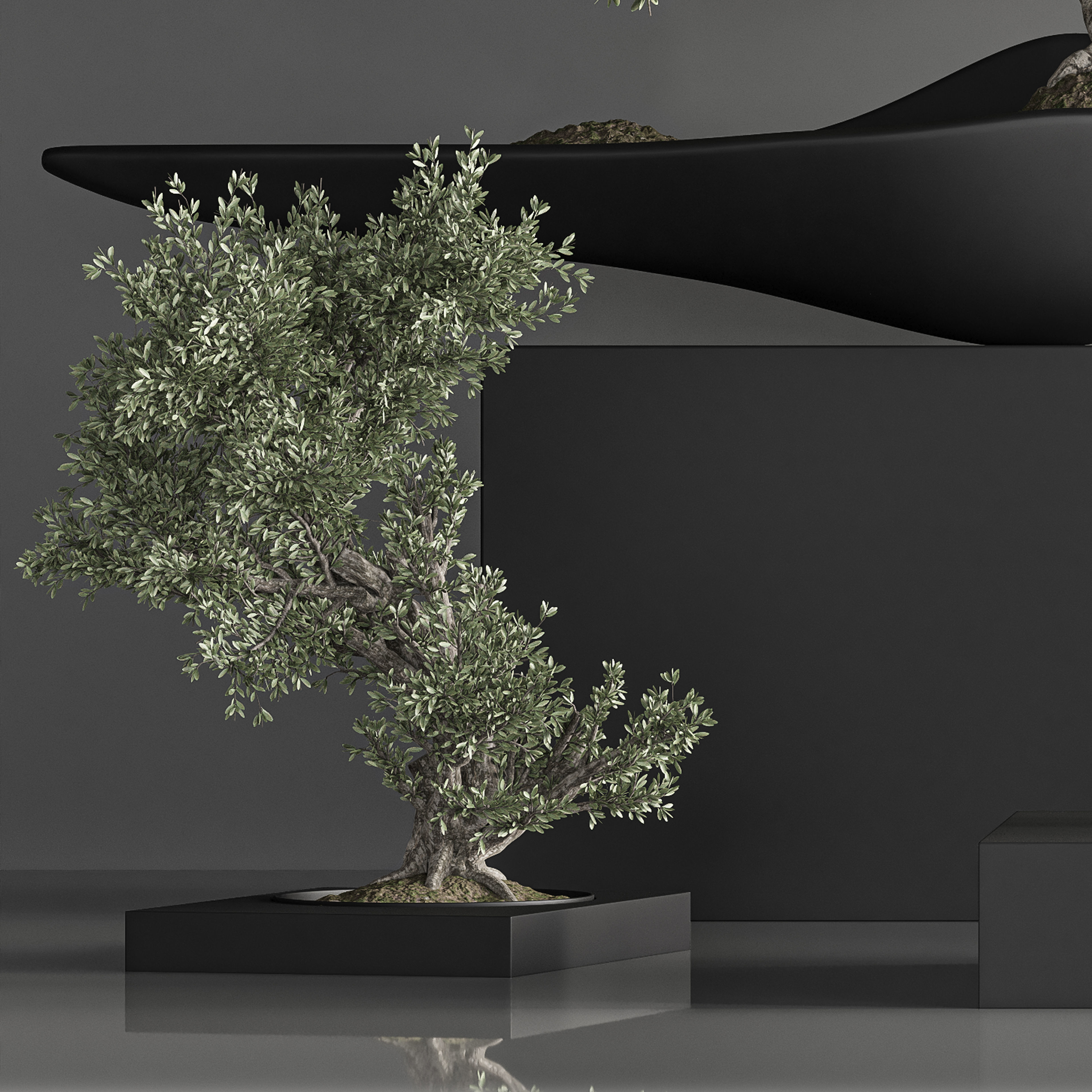 indoor plant bonsai set 35 3D model_1