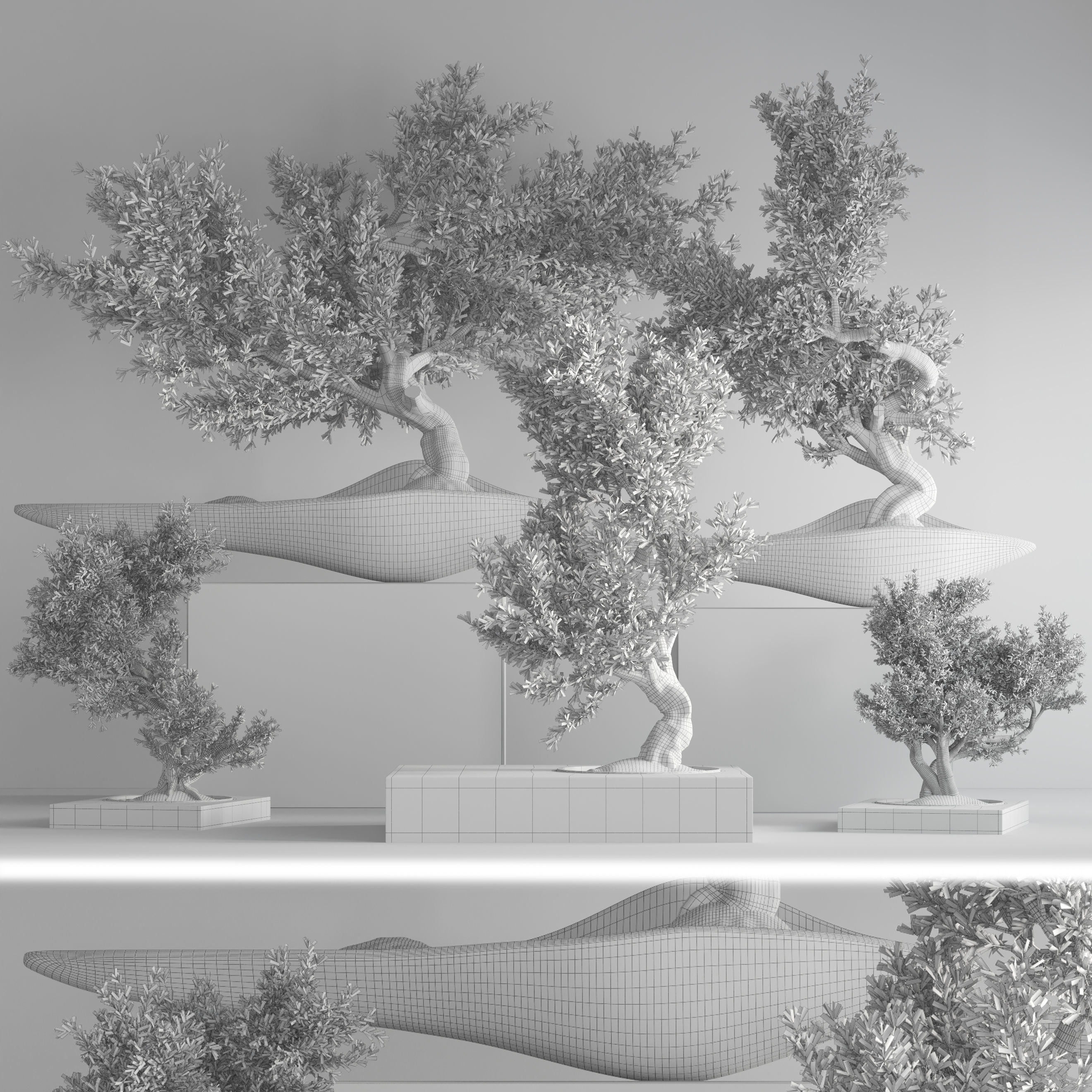 indoor plant bonsai set 35 3D model_5