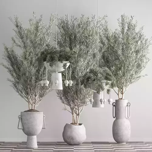 indoor plant set 36