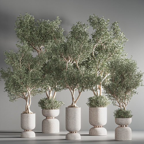 indoor plant set 37 3D model