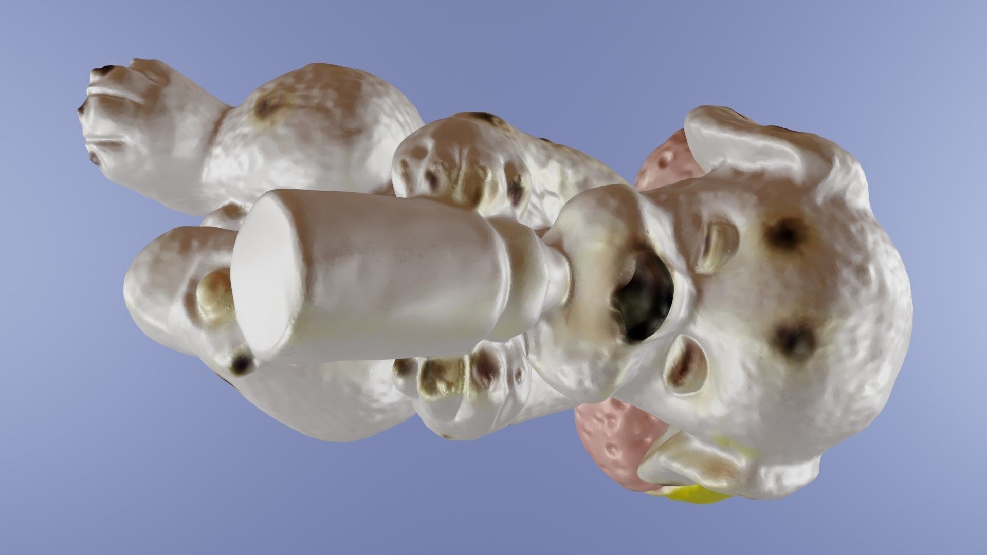 CHIEN DALMATIEN BIBERON 3D print model_4