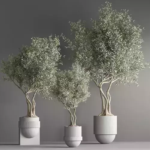 indoor plant set 38