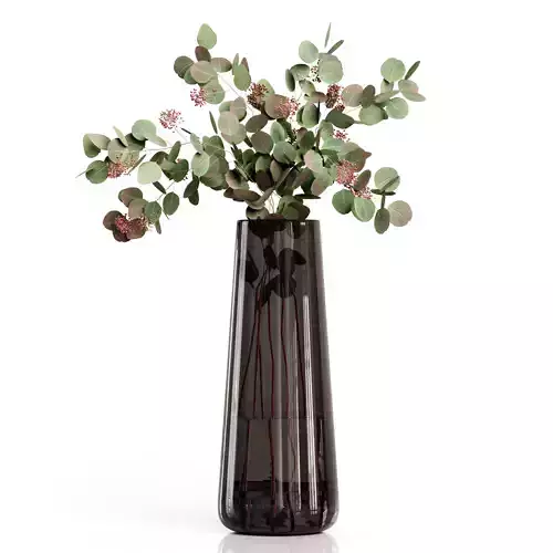 Bouquet eucalyptus leaves in vase